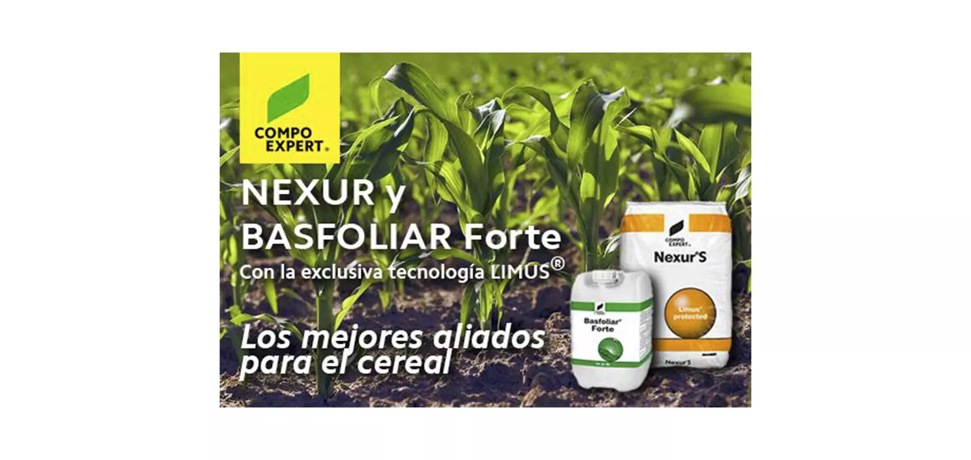 NEXUR y BASFOLIAR FORTE, aliados para el cereal