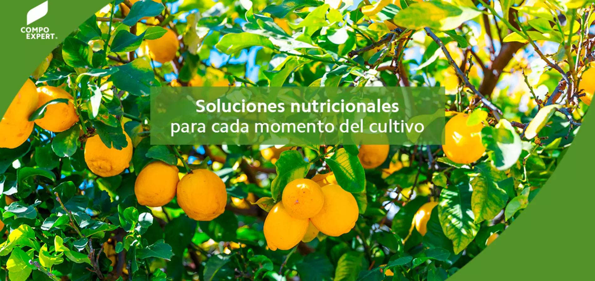 Soluciones Nutricionales