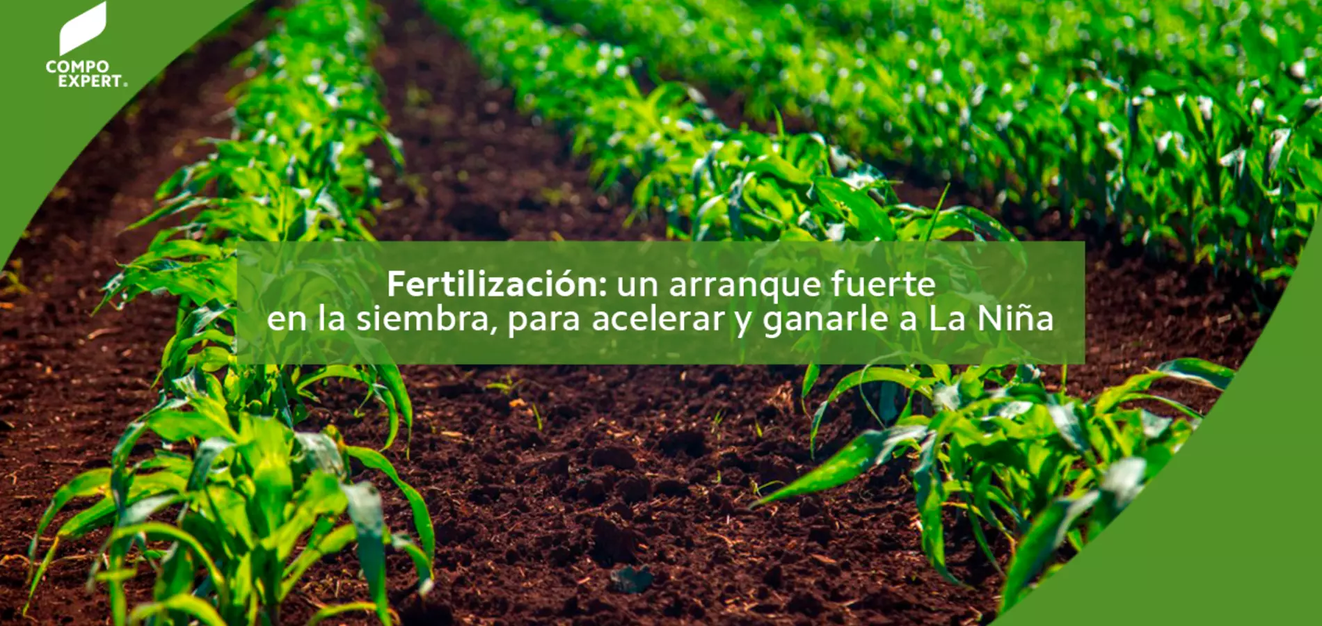 Fertilización: un arranque fuerte en la siembra