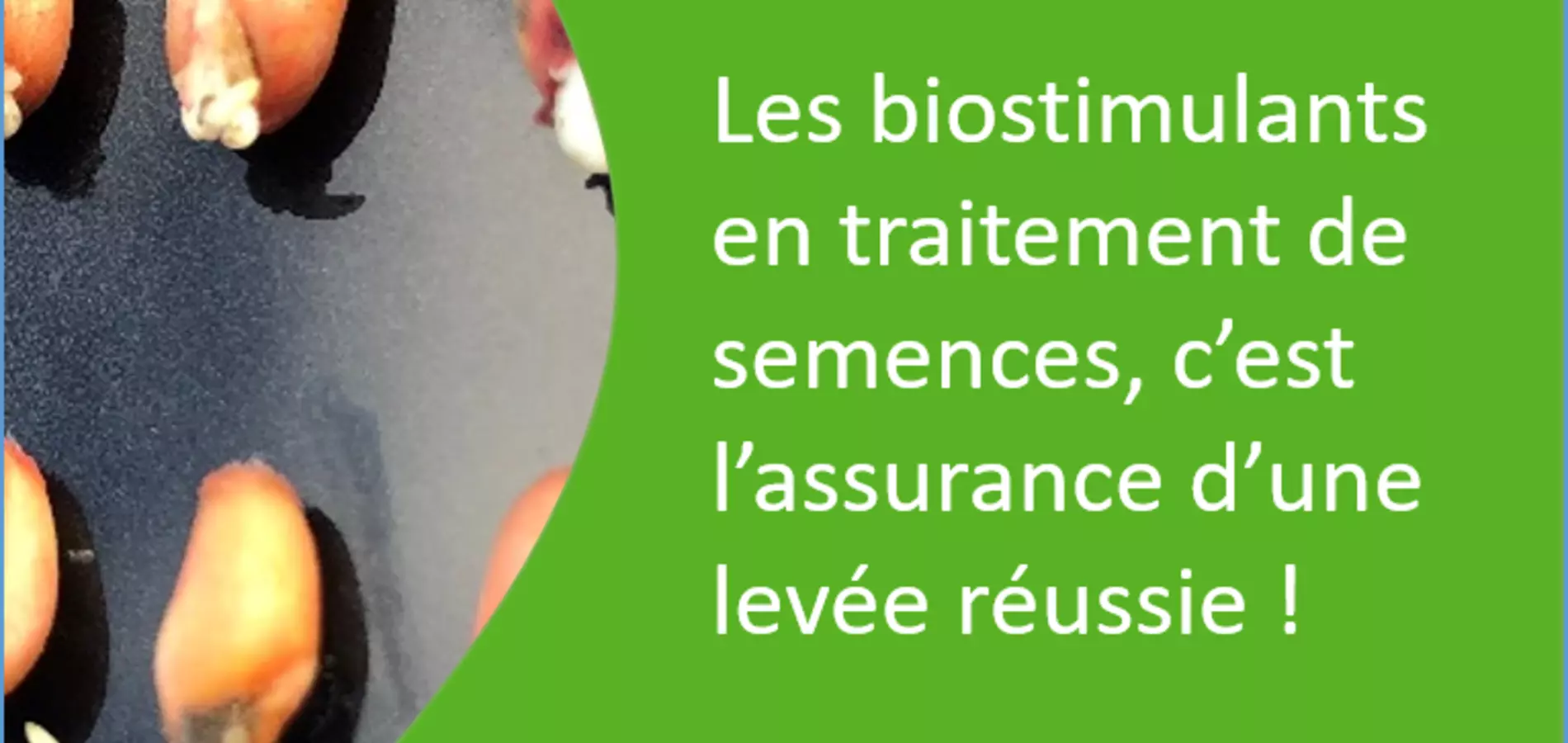 biostimulants en traitements de semences, l'assurance levée