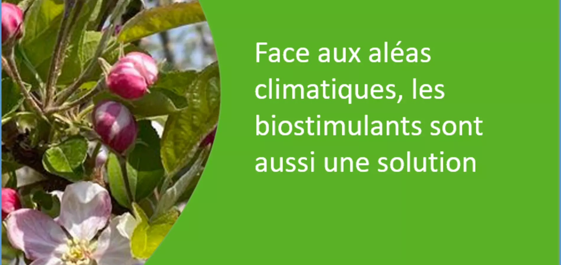 biostimulants une solution face aux aléas climatiques