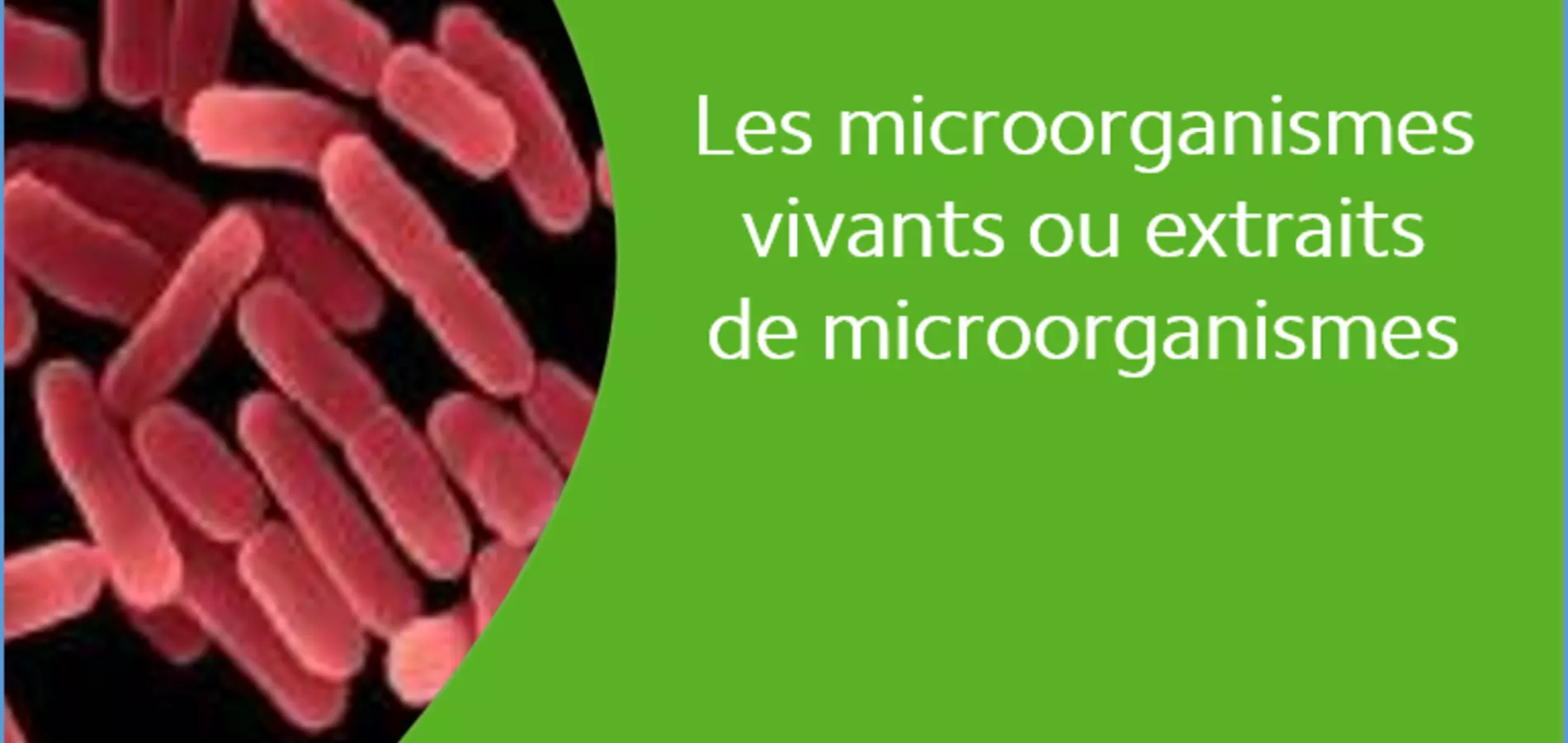 Les microorganismes vivants ou extraits de microorganismes - Bacillus