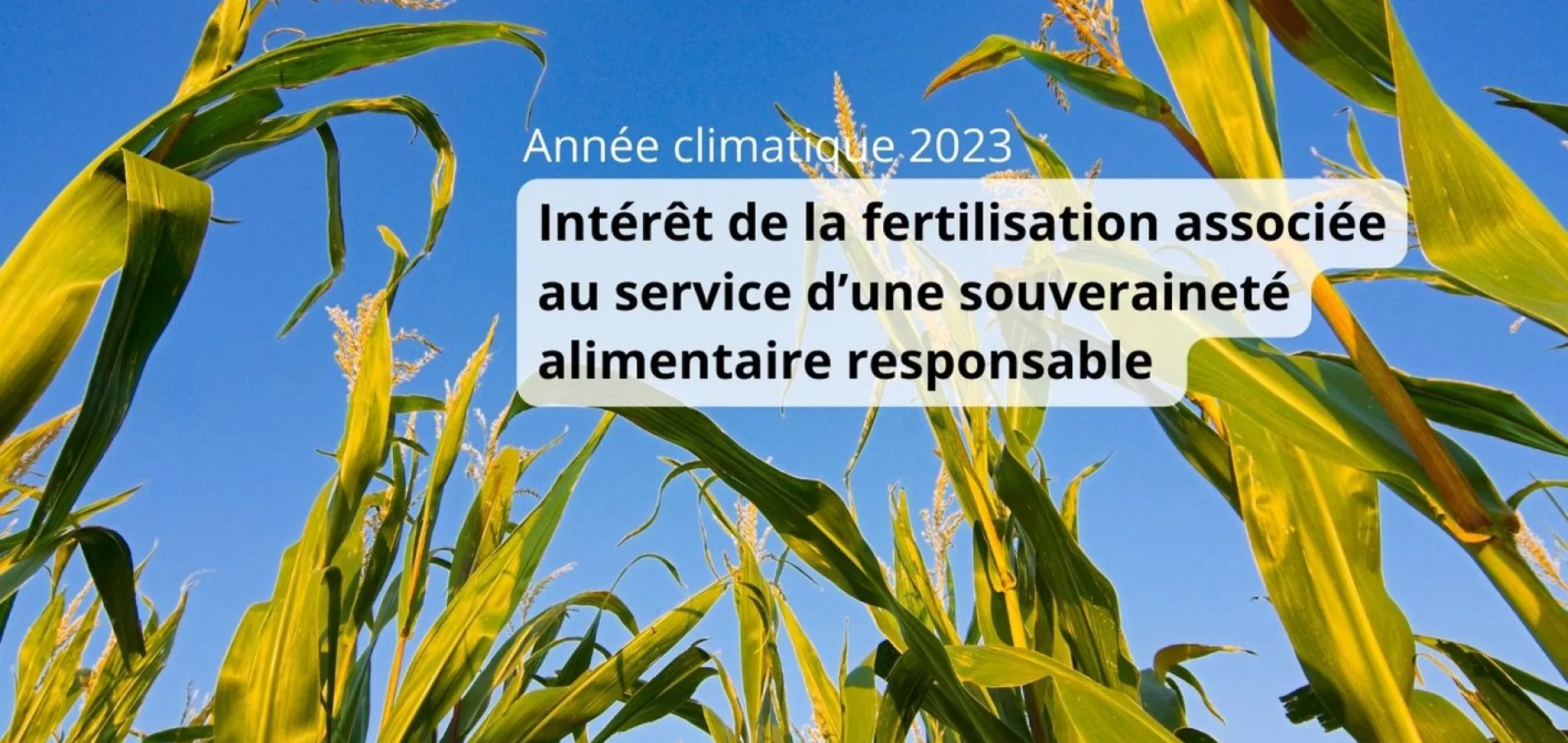 année climatique 2023 et fertilisation associée au service souveraineté alimentaire