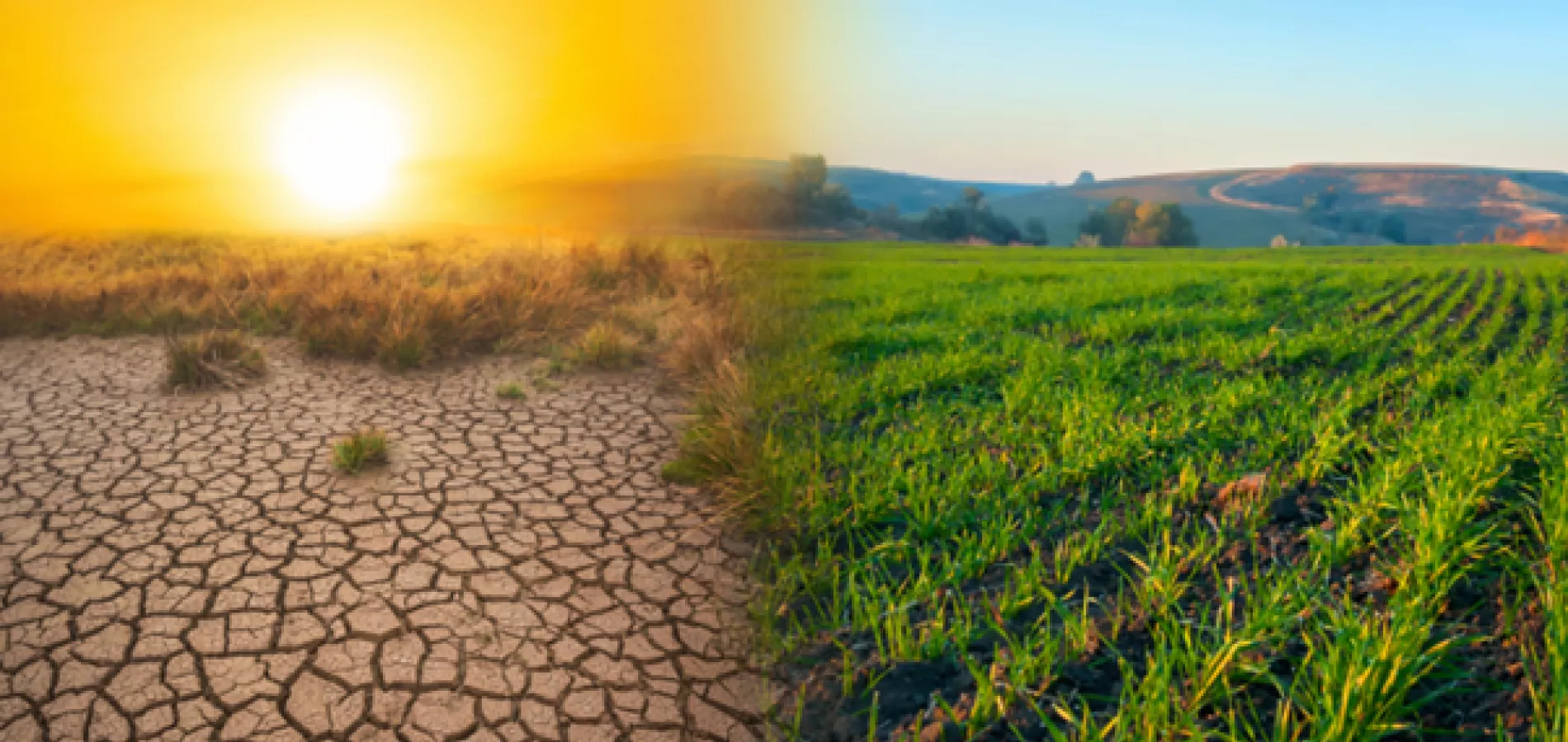 Cambio climático