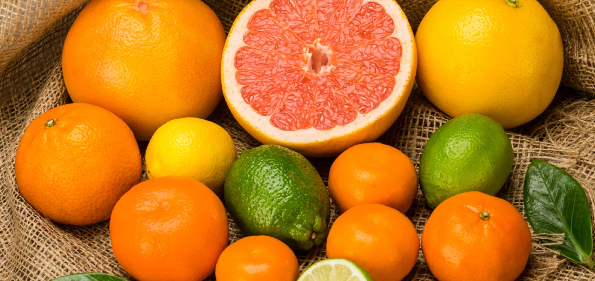 Aplicación de fertilizante líquido en cultivos de invierno para asegurar nutrientes para plantas y maximizar la producción agrícola