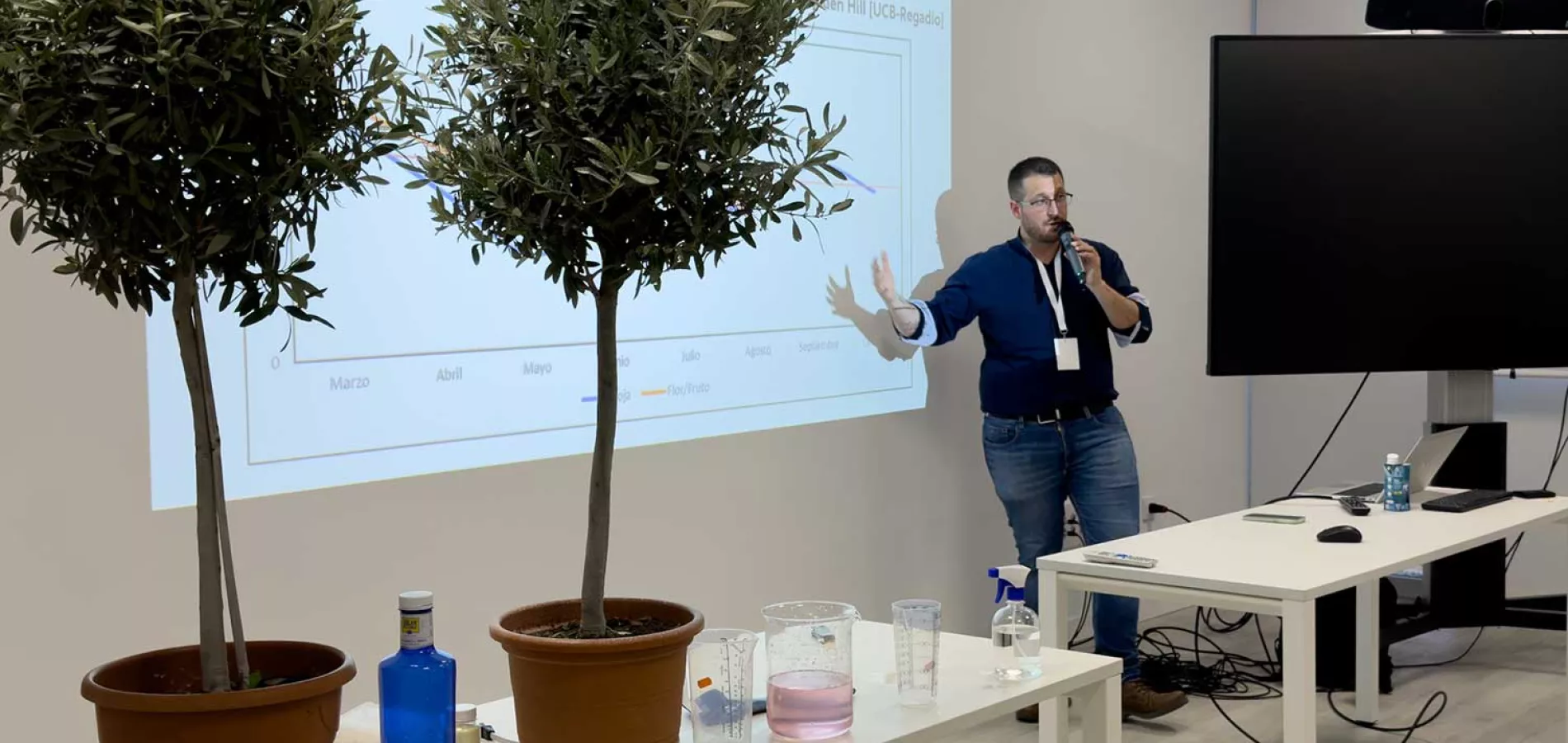 cultivos de alto valor: olivo, pistacho, almendro. Tecnoagro