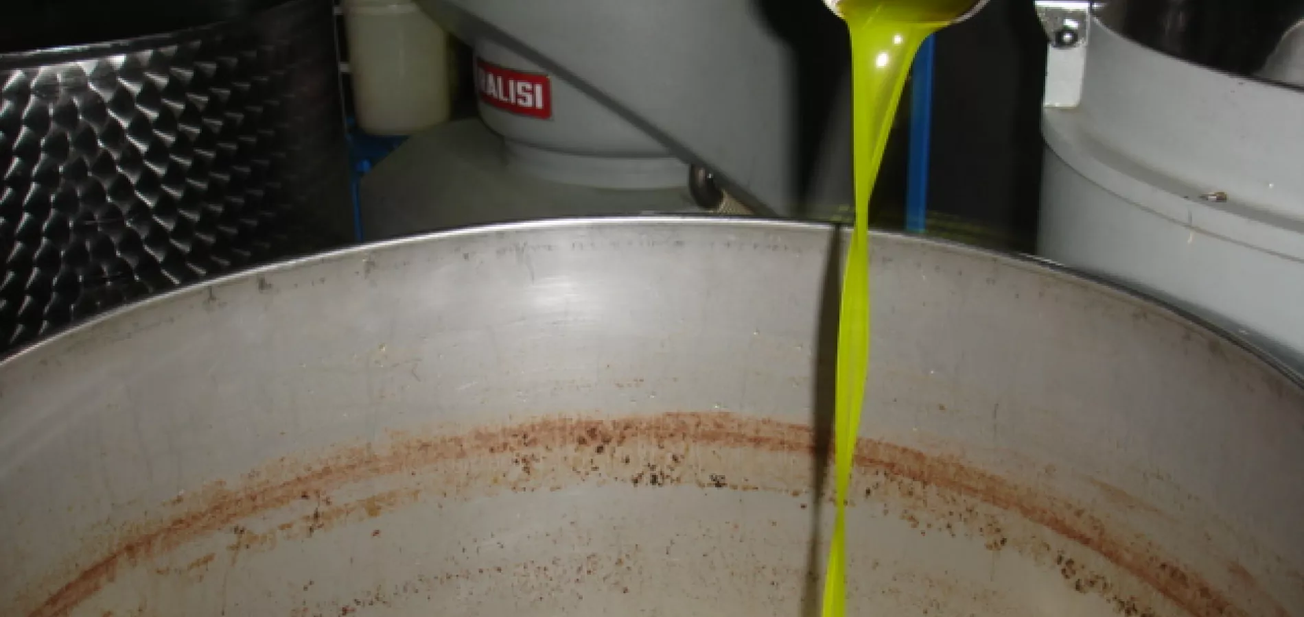 olive oil