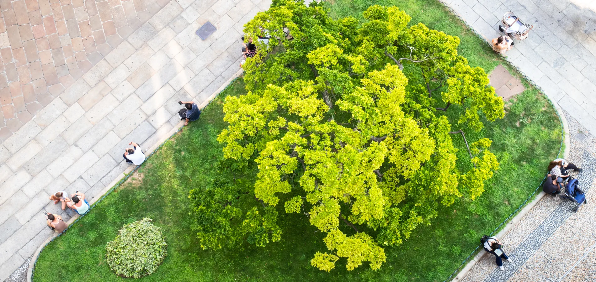 Des personnes assises dans un petit parc vert de la ville