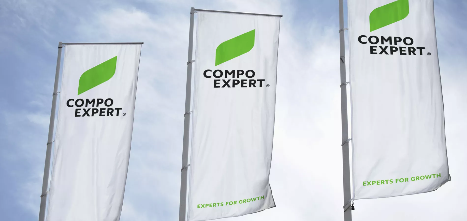 three flags with COMPO EXPERT logo on them