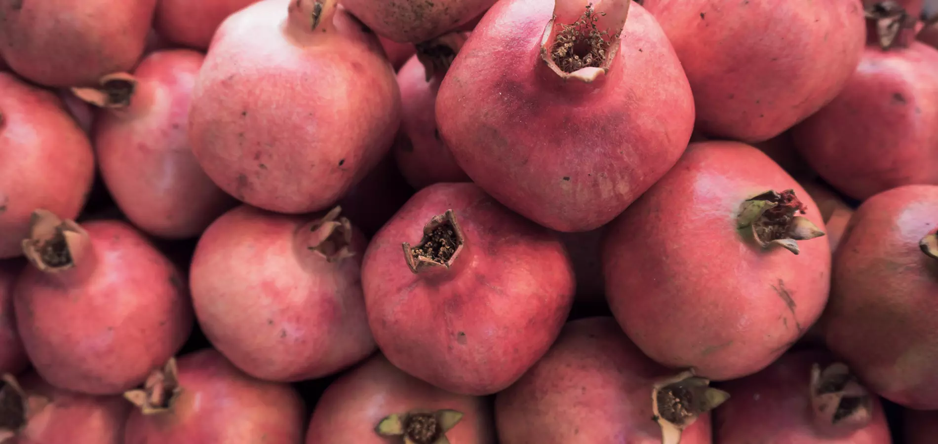 Pomegranate close up