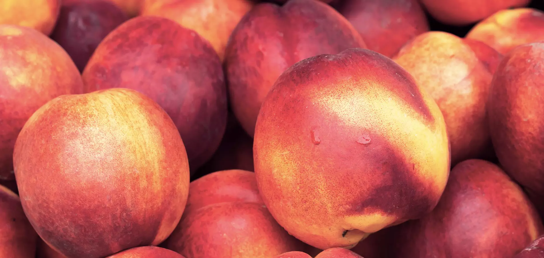 Stone fruits close up new