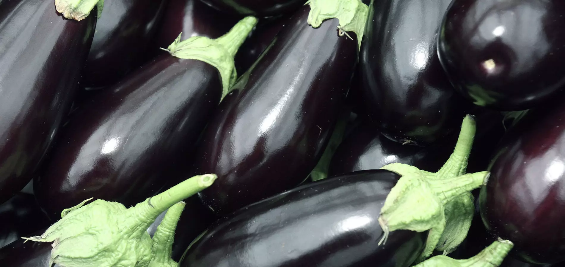 Aubergine close up