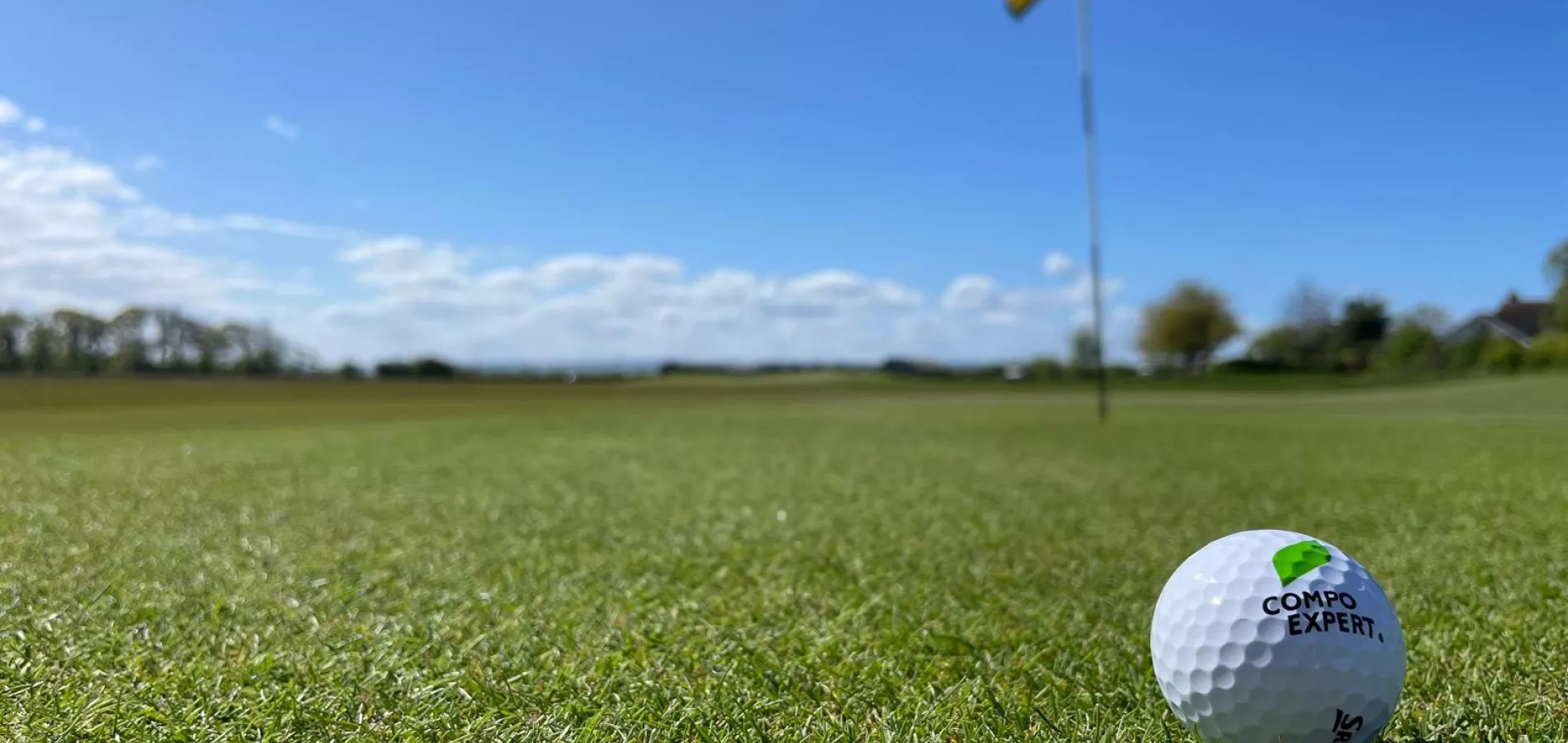 Ball on green