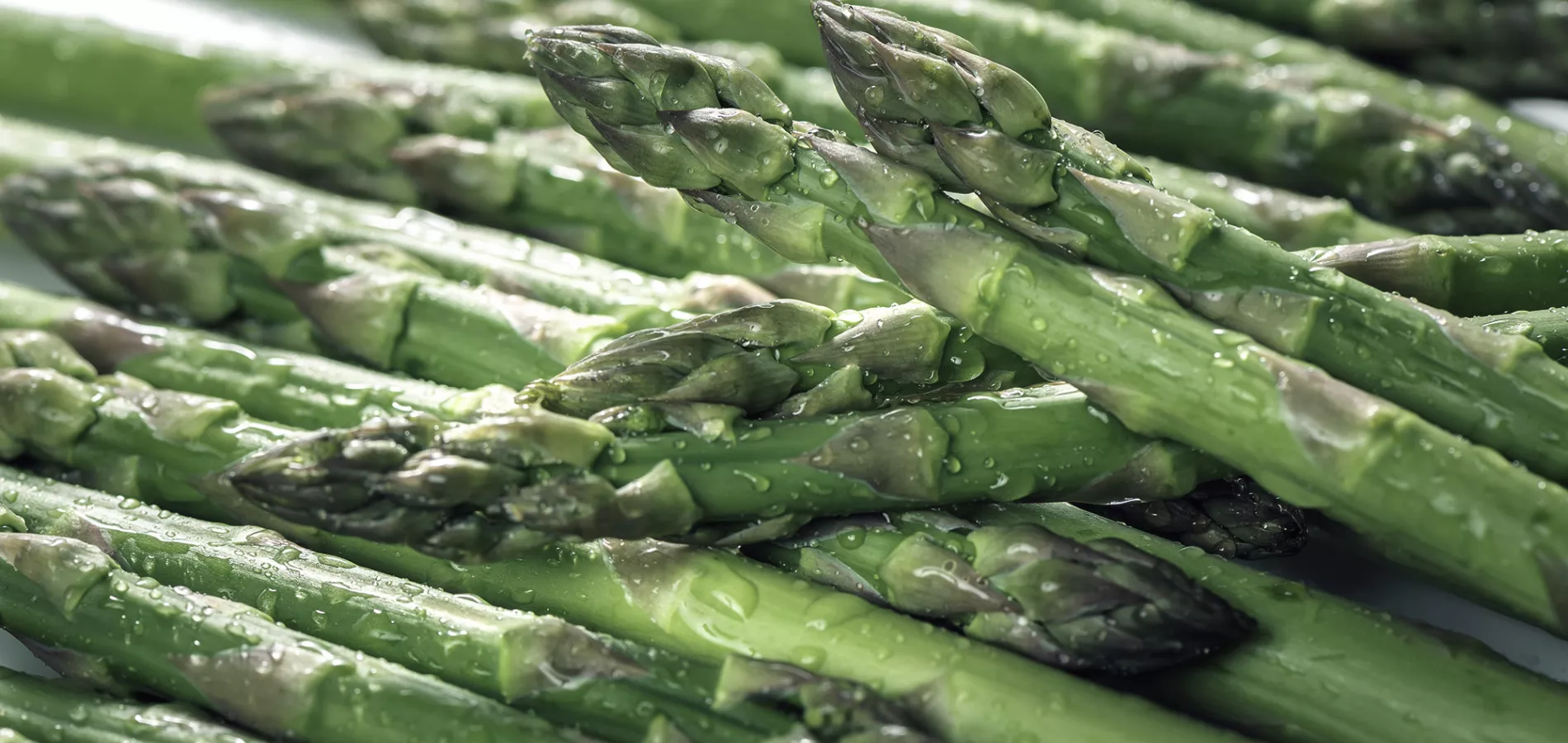vegetables-asparagus-title