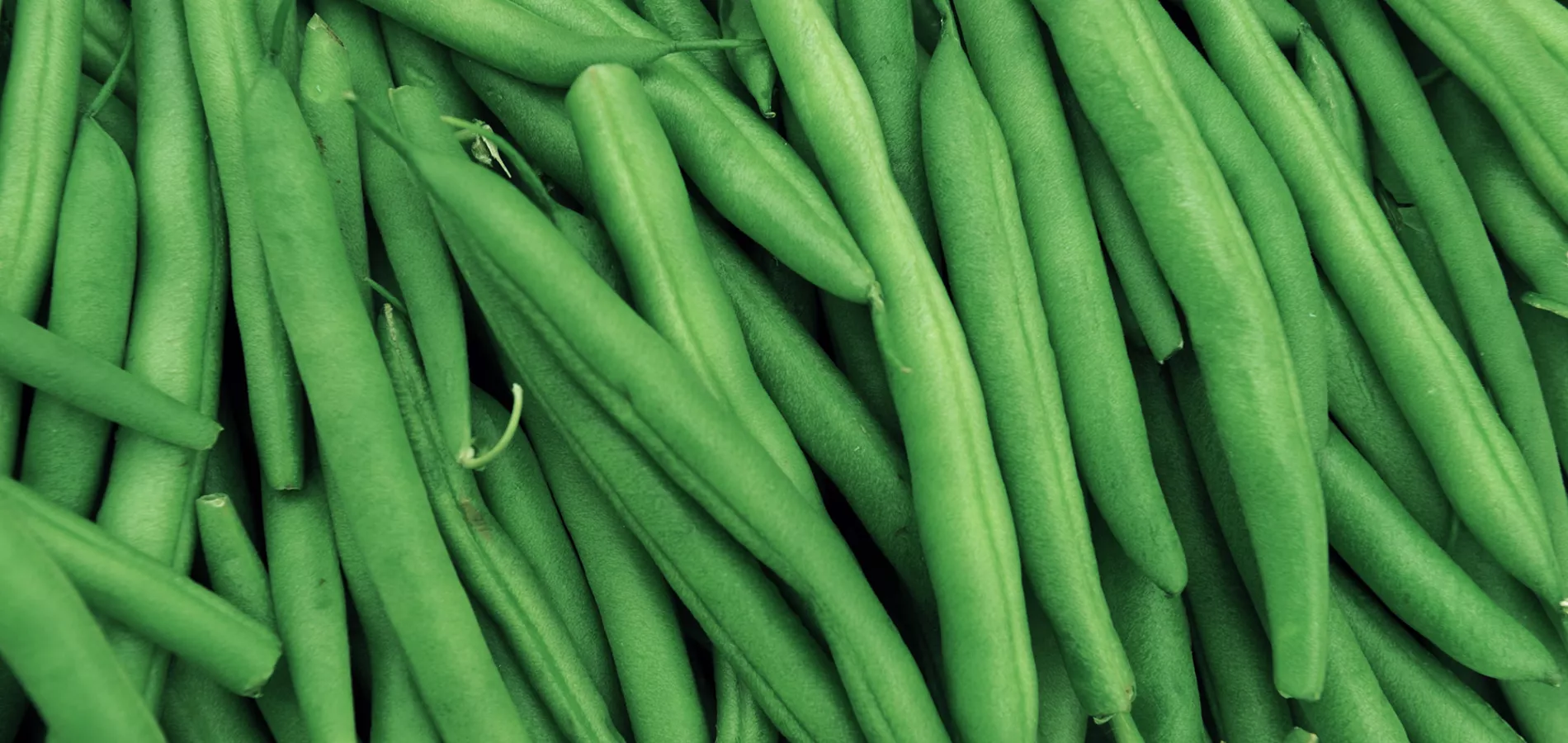 vegetables-beans-title