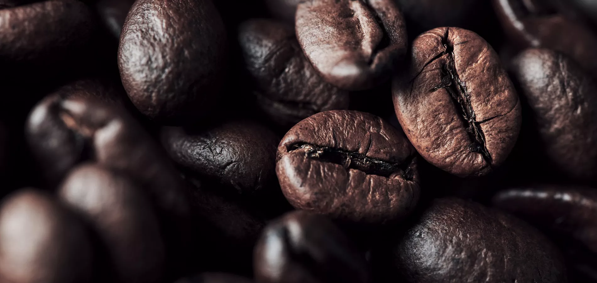 fruits coffee-title