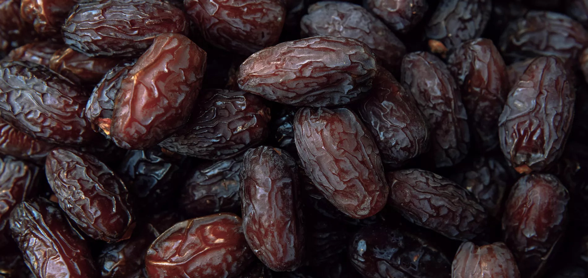 fruits date-title