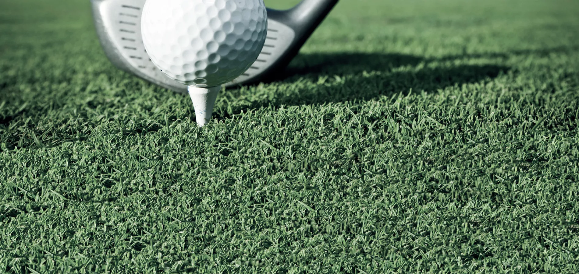 turf-public green_golf turf-title