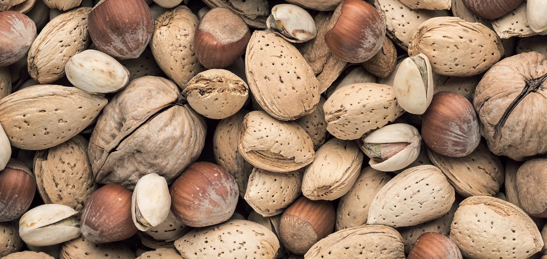 fruits nuts-title