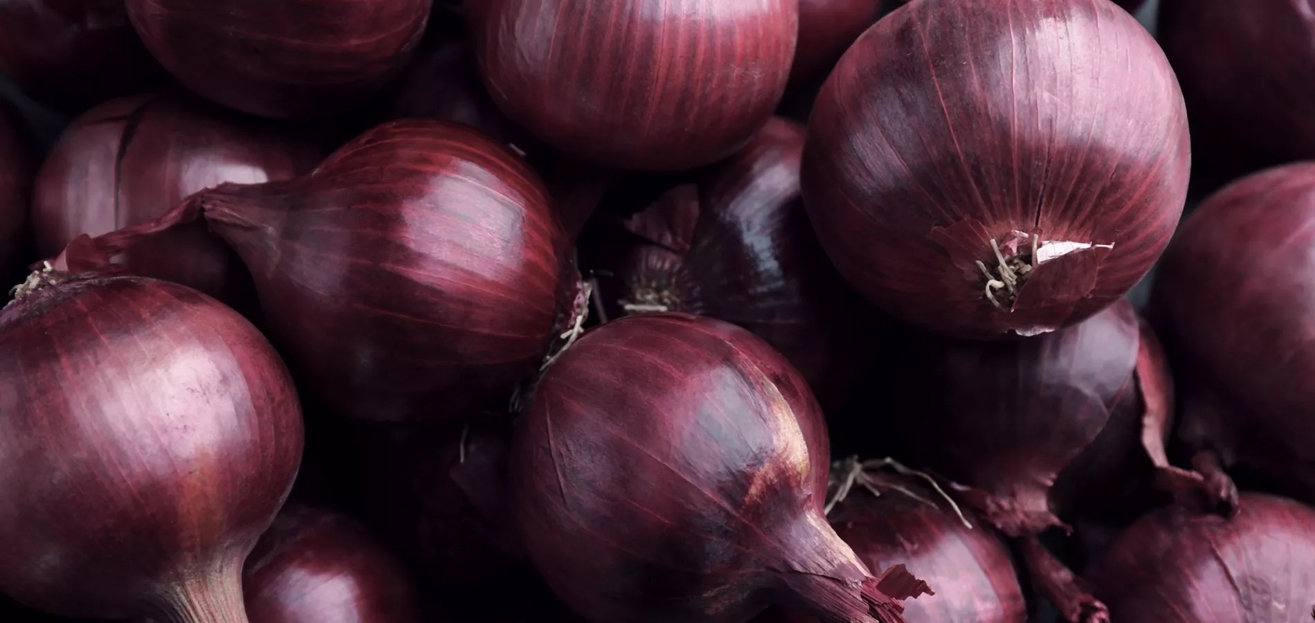 vegetables-onion-garlic-title