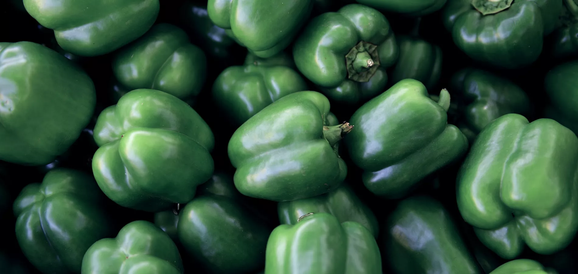 vegetables-pepper-title