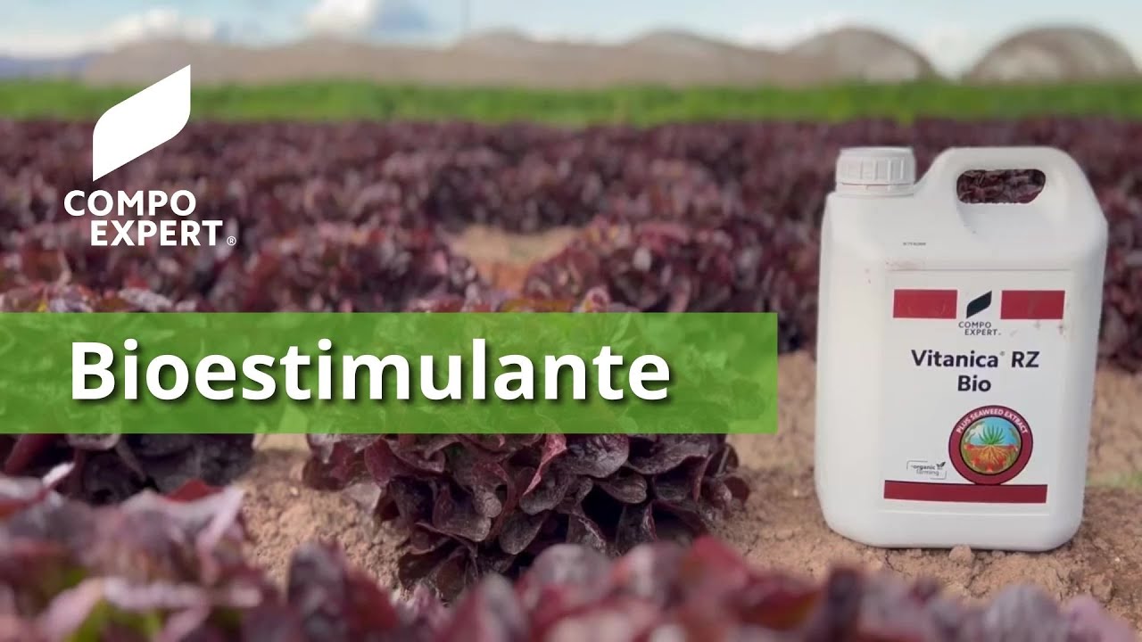 Bioestimulantes con algas Ecklonia maxima y microorganismos - Vitanica® RZ Bio - COMPO EXPERT