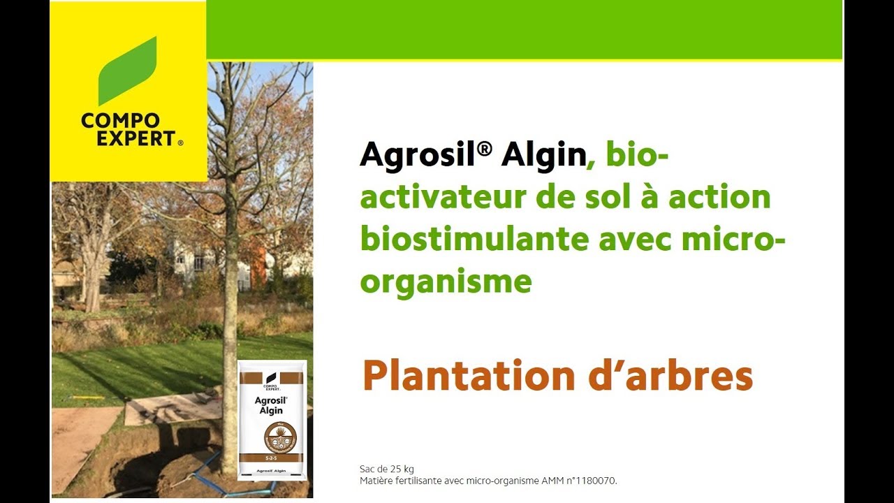 Agrosil Algin plantations arbres_FX Largillier