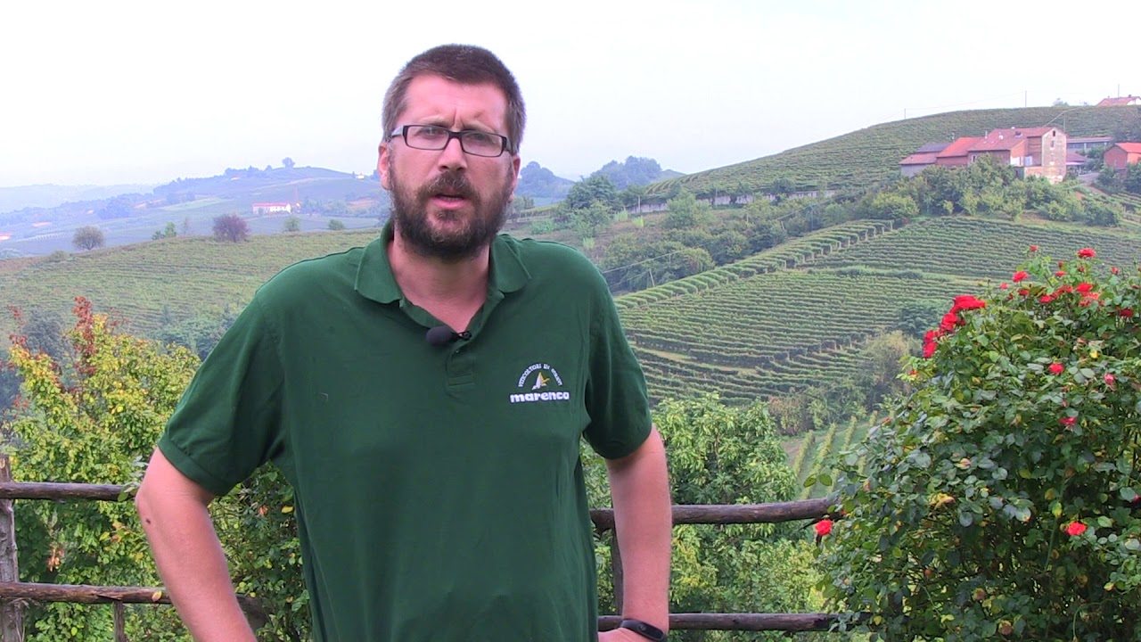 Vite da vino - Marenco Vite da vino - Marenco
