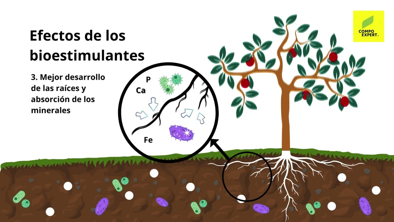 #Bioestimulantes para agricultura ¿Qué son?