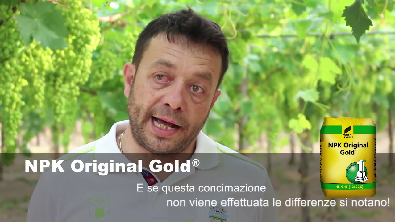 NPK Original Gold - Vite da tavola