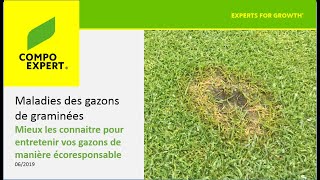 Maladies des gazons_webinar_France