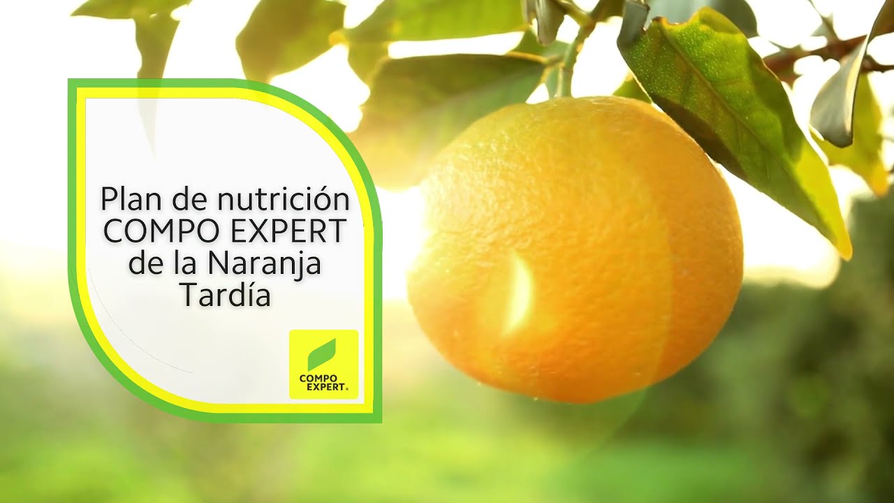 Plan de nutrición COMPO EXPERT de la Naranja Tardía Plan de nutrición COMPO EXPERT de la Naranja Tardía