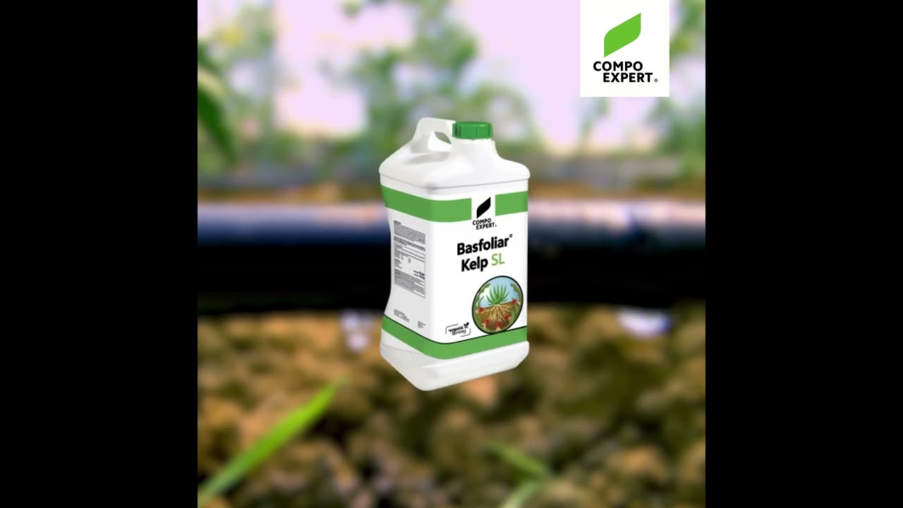 Basfoliar Kelp SL