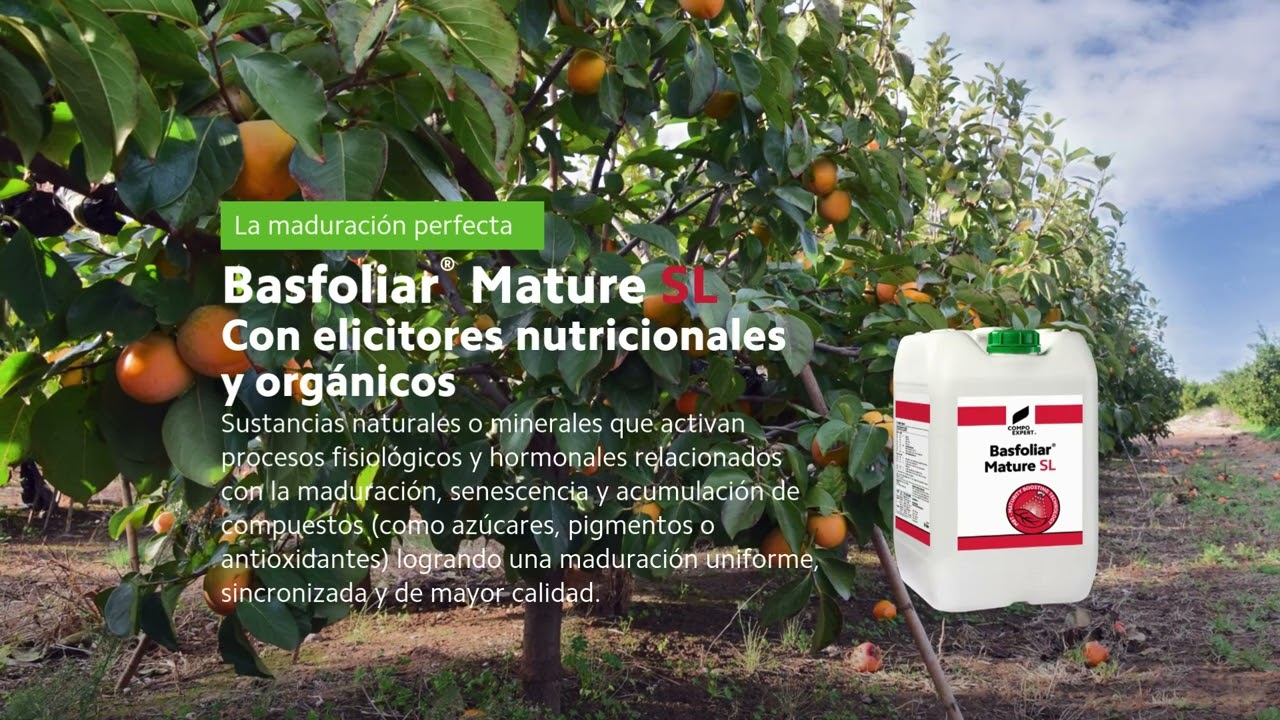 Bioestimulantes para pistacho, kiwi o cítricos Basfoliar® Mature SL Bioestimulantes para pistacho, kiwi o cítricos Basfoliar® Mature SL
