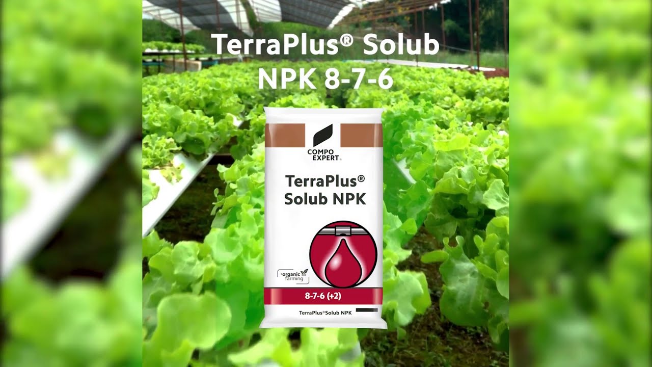 TerraPlus® Solub NPK 8-7-6 - Fertirrigación