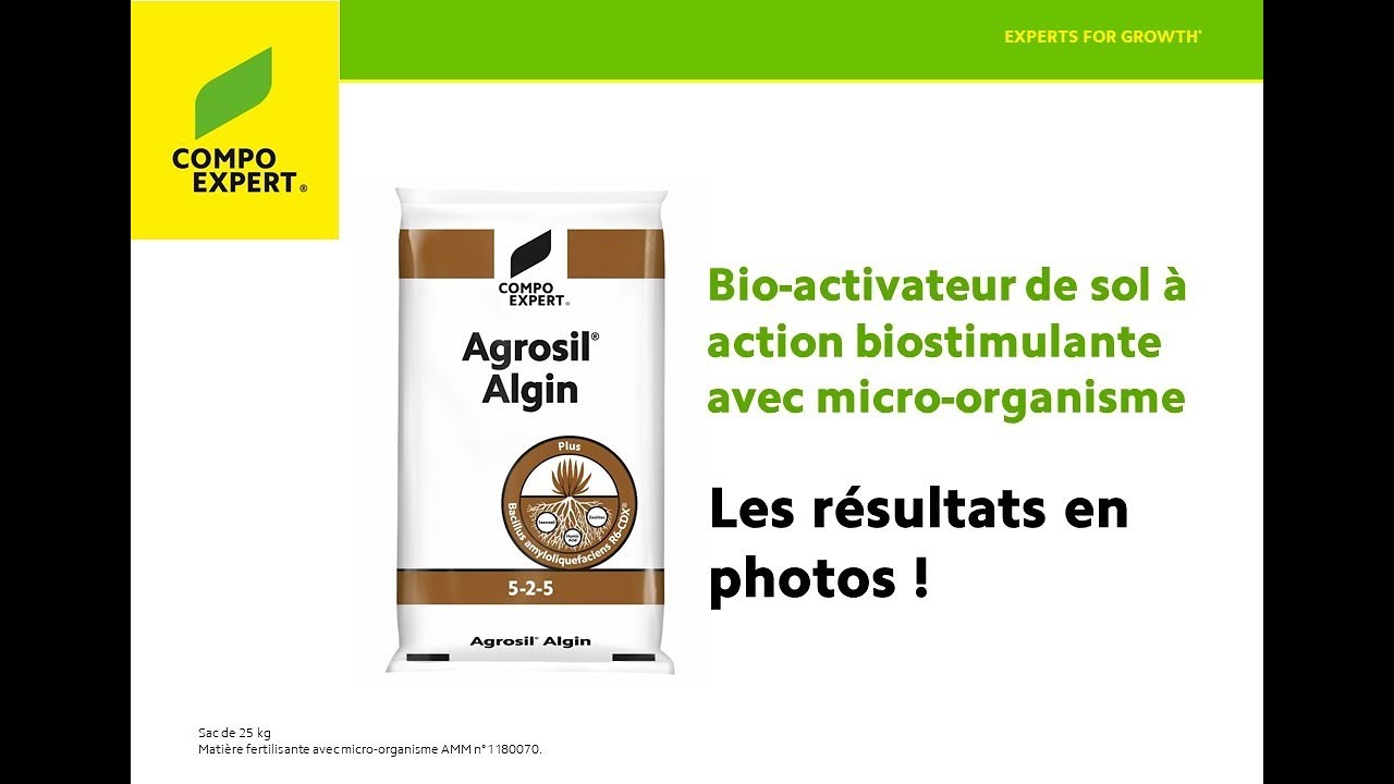 Agrosil Algin, témoignages sur gazon