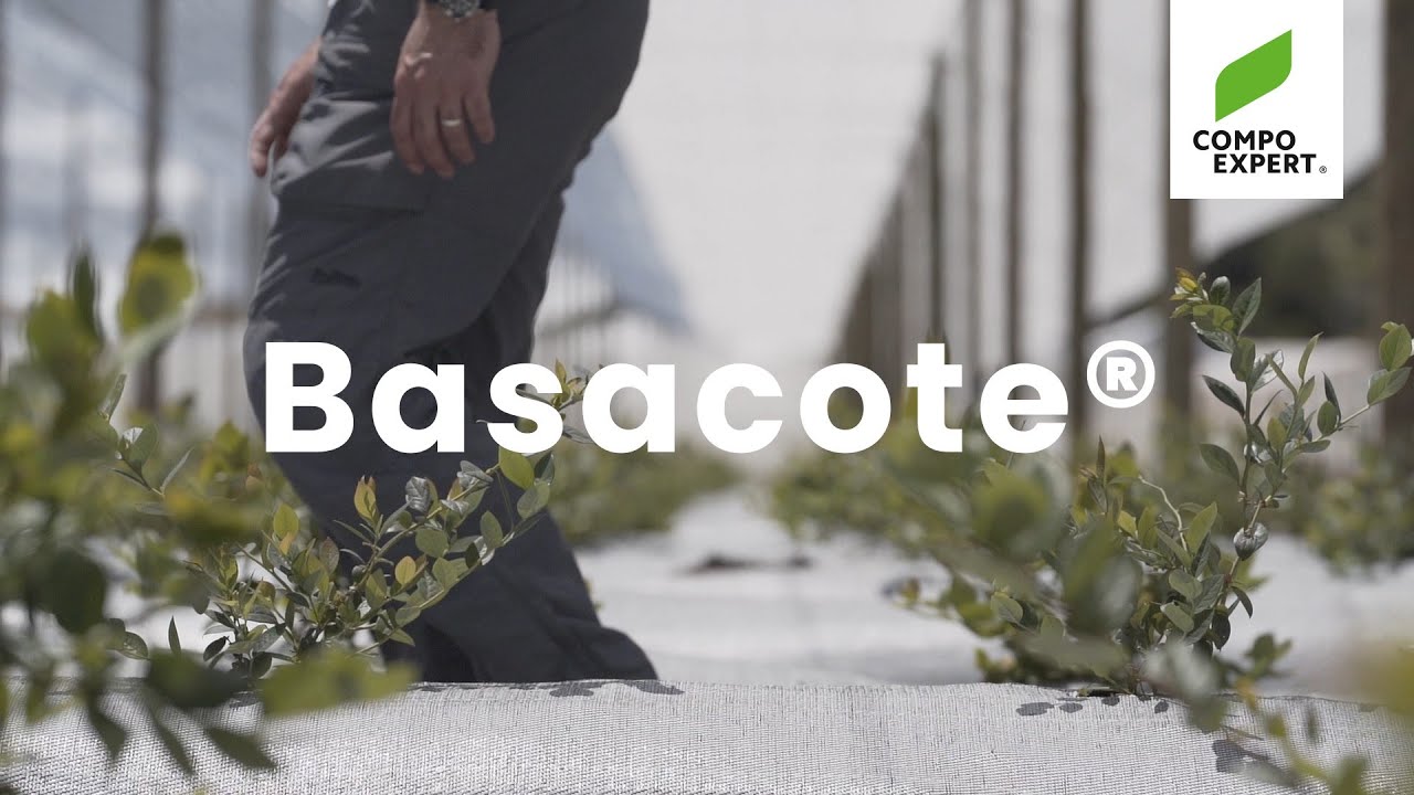 Basacote Video