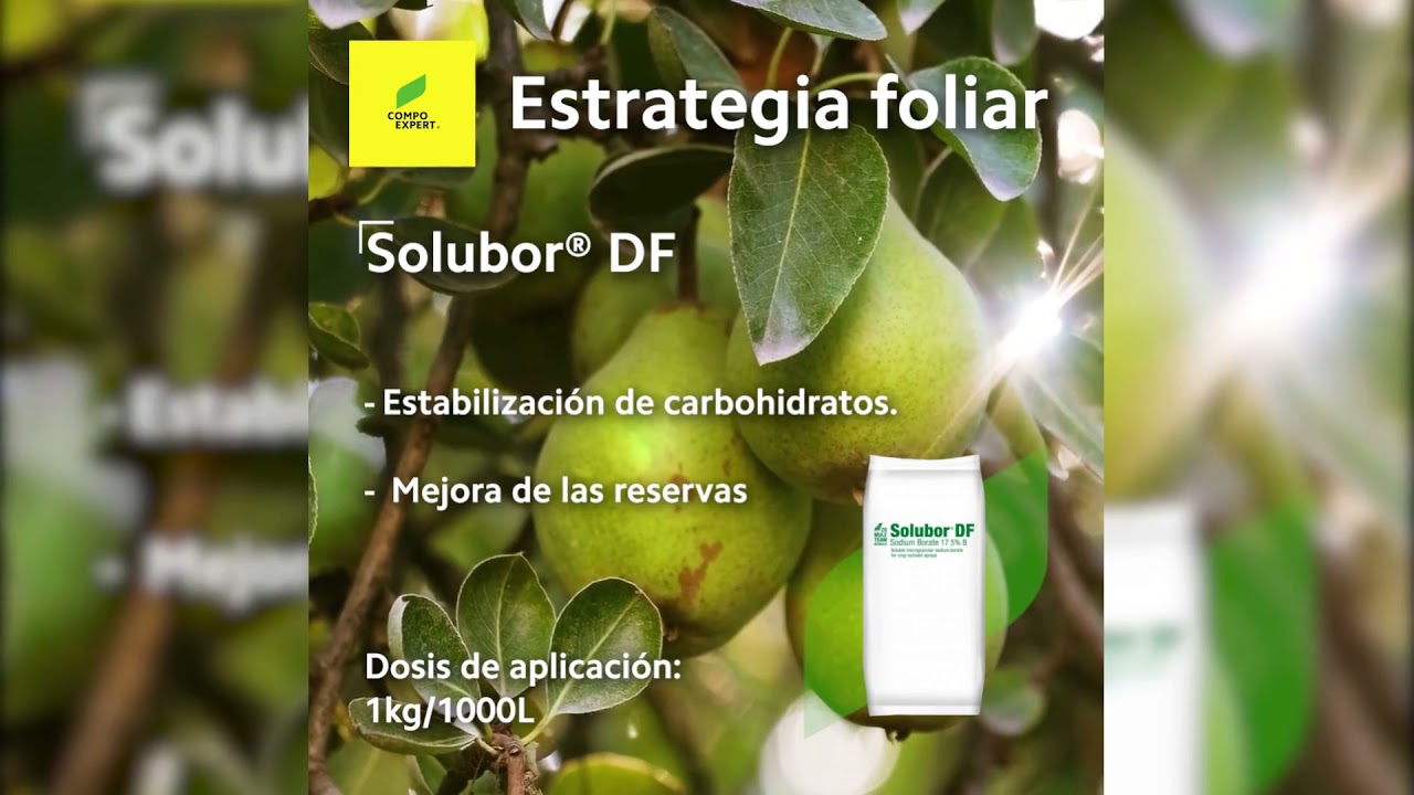 Estrategias post- cosecha para frutales - Basfoliar® + Solubor® + Vitanica®
