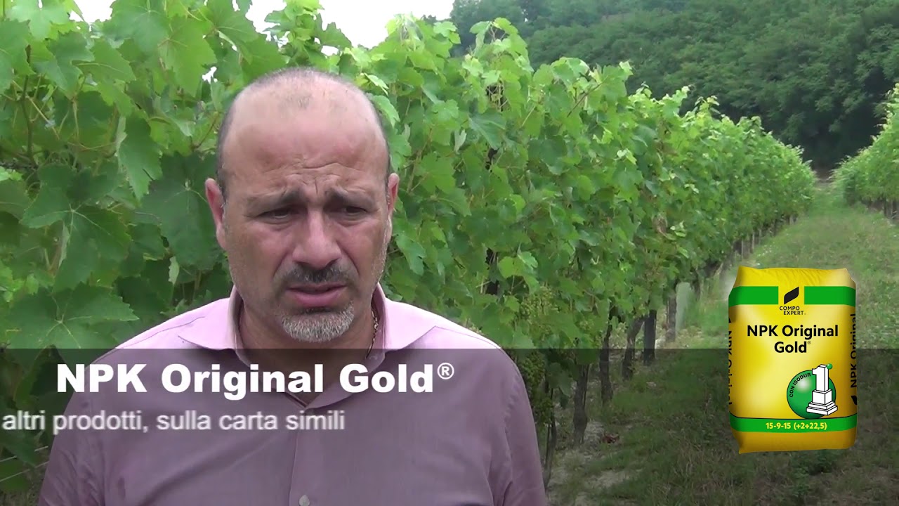 NPK Original Gold - Vite da vino, piemonte
