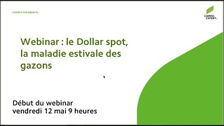 Dollar spot maladie estivale des gazons _webinar 12 mai 2023