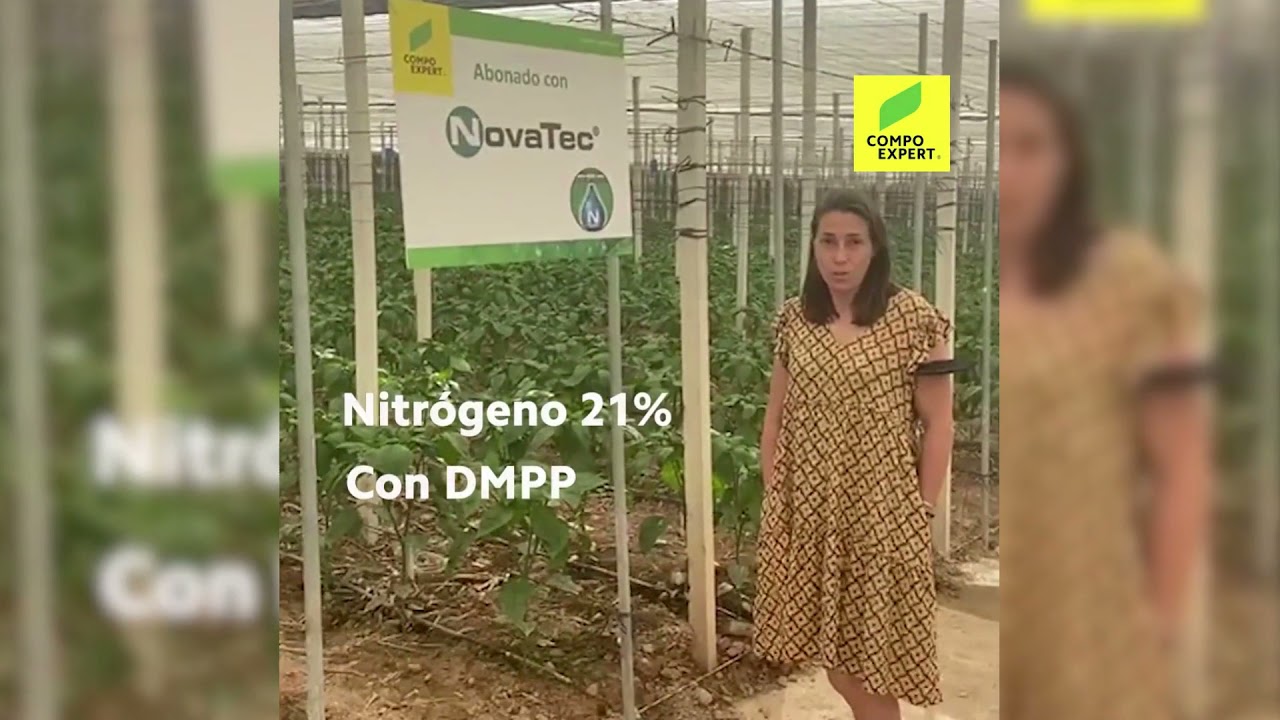 #EXPERTretos - Pimiento #EXPERTretos - Pimiento