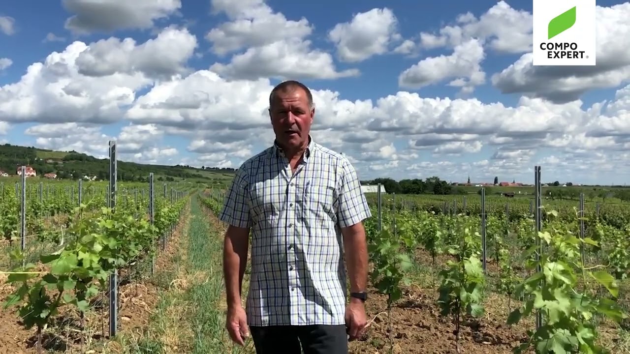 Weinbau-Video Teil 2 (Biodiversität)